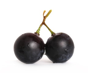 Fresh dark, black grapes isolated on white background