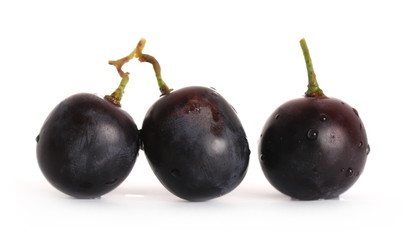 Fresh dark, black grapes isolated on white background