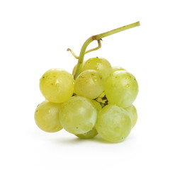 White grapes isolated on white background