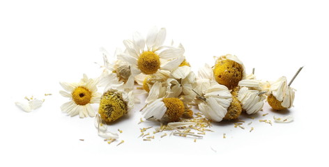 chamomile, dry, petals, tea, organic, alternative, flower, crushed, infusion, bud, drink, herb,...