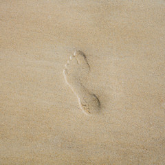 Fototapeta na wymiar Ein Fußabdruck im Strandsand