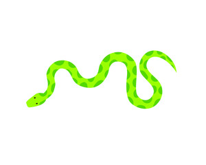 Obraz premium Snake Isolated on White Background, Great for book education, tattoo, sticker and design element! 