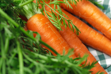 Fresh carrots on checkered tablecloth close up