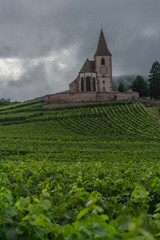 Wunderschöne Erkundungstour durch das malerische  Elsaß Lothringen in Frankreich. -...