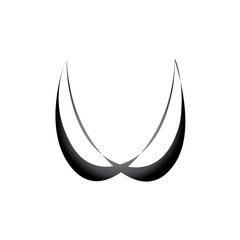 Obraz na płótnie Canvas wing logo vector
