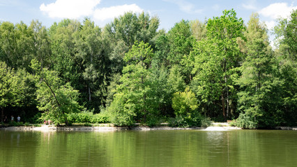 Baumgruppe am Wasser