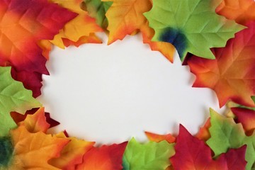 Naklejka na ściany i meble autumn leaves on white background