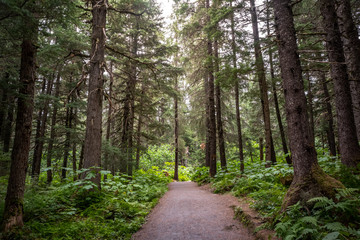 Beginning of Winner Creek Trail