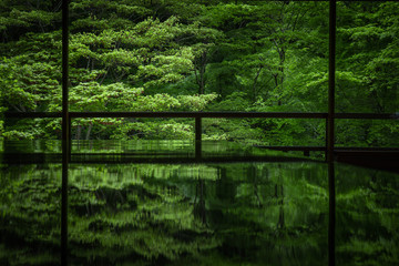 京都府 瑠璃光院 新緑