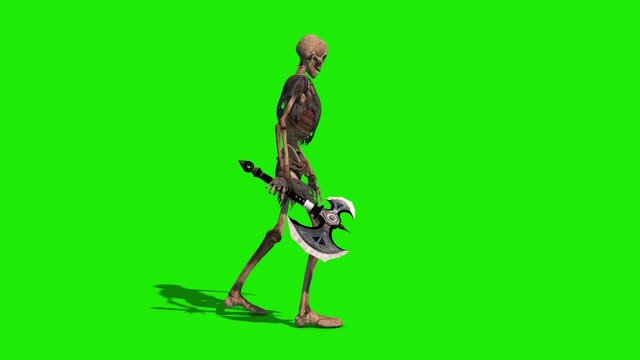 Skeleton Warrior Green Screen Walkcycle Side Loop 3D Rendering Animation
