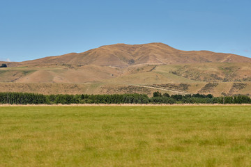 Obraz premium Scenery of Hakatere Conservation Park, Canterbury, New Zealand