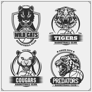 Set of basketball emblems, badges, logos and labels with tiger, cougar and wildcat. Print design for t-shirt.