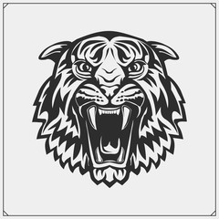 Sport club emblem with tiger.  Print design fot t-shirt. 