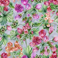 Foto auf Leinwand Beautiful floral background with tulip-flowered pelargoniums flowers and leaves on grey background. Geranium flowers. Seamless botanical pattern. Watercolor painting. Hand painted floral illustration. © katiko2016