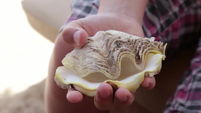 Closeup view of one white kid hands holding big sea shell at sunny summer beach. Real time full hd video footage.