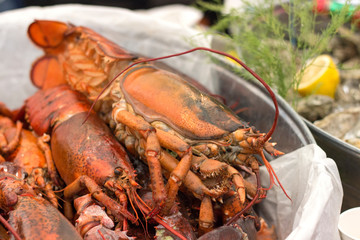 Fresh tasty seafood lobsters ready to be cooked 