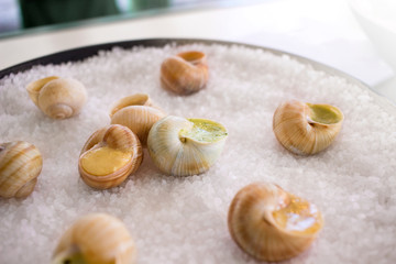 Snails as delicacies. Burgundy snails