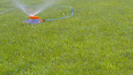 Watering the grass lawn