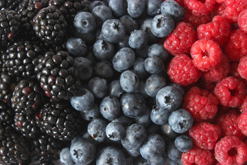 Background from a set of different berries. Blueberries, raspberries, strawberries, blackberries, currants