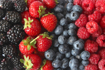 Background from a set of different berries. Blueberries, raspberries, strawberries, blackberries, currants