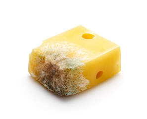 Mold cheese isolated on white background - clipping path included