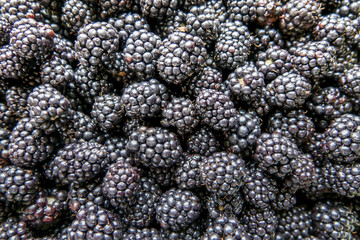 Background from fresh Blackberries, close up. Top view, Flat lay