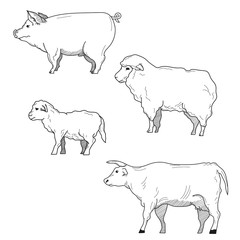 Domestic animals simple hand drawn sketch vector set.