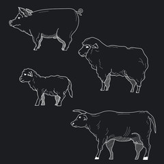 Domestic animals simple hand drawn sketch vector set.