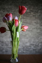 A bouquet of tulips on a gray background