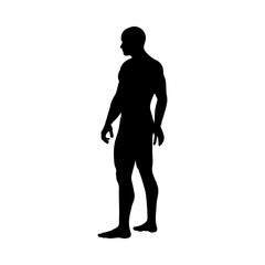 Standing Pose Man Silhouette