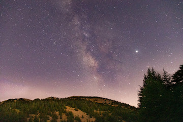 Beautiful clear night landscape and scenery. Starry sky with milky way galaxy over the mountains and the cedar trees.