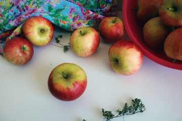 Fresh red apples on white, top view. Place for your text.