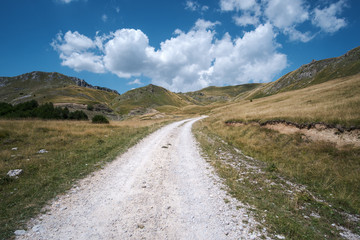 Fototapeta na wymiar Macadam road - Zelengora, National park Sutjeska
