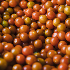 Fototapeta na wymiar Group of fresh juicy cherry tomato for sale