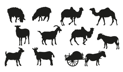 Large set of livestock silhouettes. Camels, sheep, goats, donkeys.