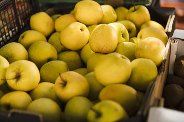 Group of green apple at fruit market for sale