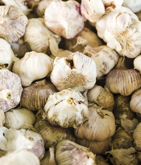 Close-up of raw organic fresh garlic