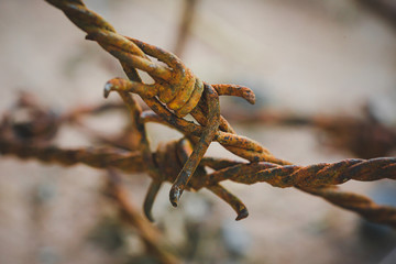 Close up Rusty barbed wire
