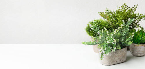 Mix of decorative potted plants against light wall