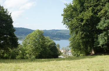 Bodman at the Lake Constance in summer