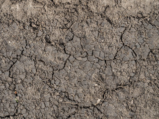 dry cracked earth