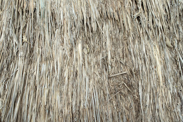 Texture of old hay bale background. 