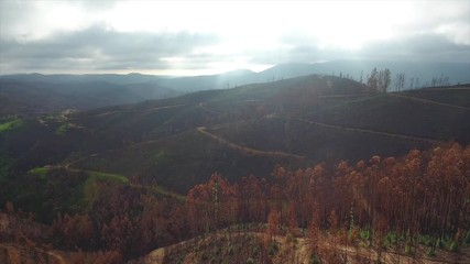 Aerial. Portuguese forest Monchique, after the fires view from the sky.
