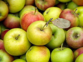 An apple with a leaf on the background of other apples. Apple background