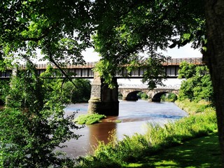 Fototapeta na wymiar The River Ribble 