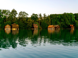 Obraz premium view of the lake at dawn early in the morning, the shore overgrown with trees