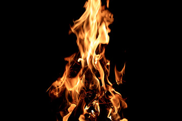Fire bonfire on a black background,  natural flame
