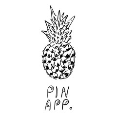 Pineapple fruit with hand drawing text. Vector illustration.