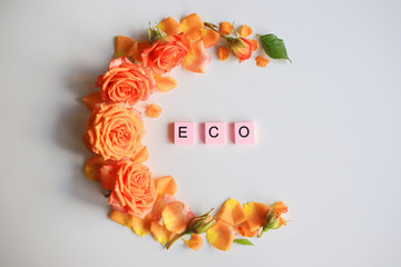 ECO word made of wooden letters. Ecology concept.