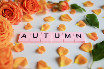The word Autumn from wooden letters.